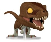 FUNKO-1216A.jpeg