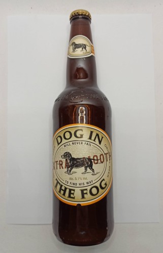 DOGINTHEFOG-1.jpg