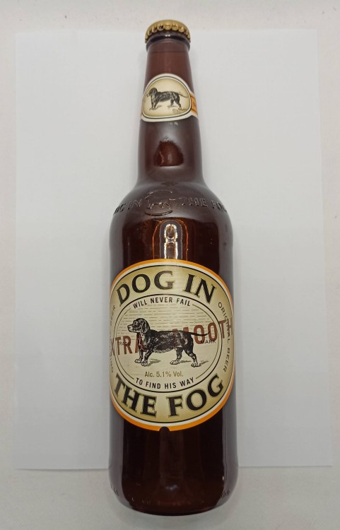 DOGINTHEFOG-1.jpg