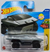 HYW29-1.jpg