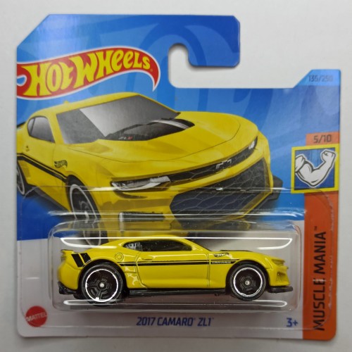 A1239.jpg