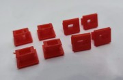 CS0010B.jpg