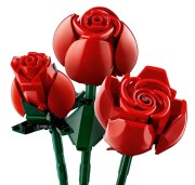 10328_alt3.jpg
